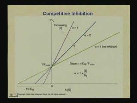 Lecture - 9 Enzymes III