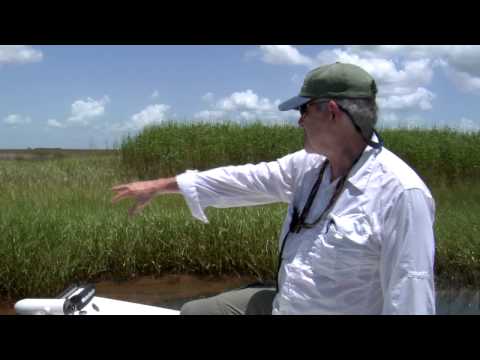 Nicholas School's Richardson Finds Oil in the Gulf - July 27-28, 2010