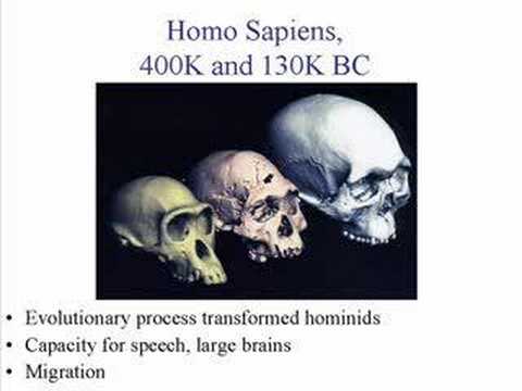 Early Paleolithic and Neolithic Cultures