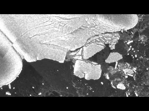 NASA | Tohoku Tsunami Creates Antarctic Icebergs