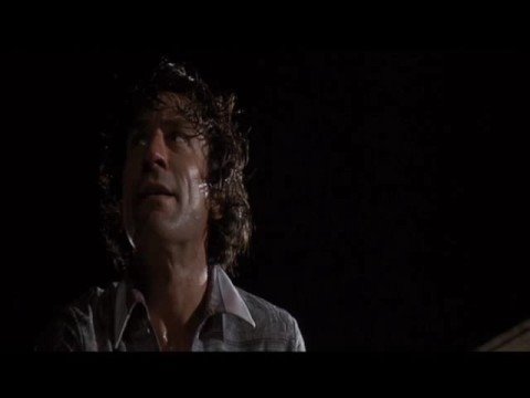 GREAT FIGHT SCENE: Robert DeNiro In CAPE FEAR