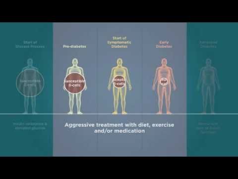 Beta Cells in Type 2 Diabetes