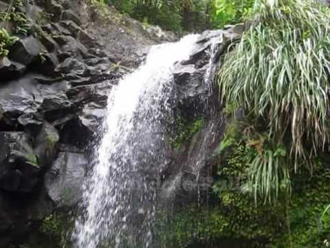 Grenada Island Excursion 2009