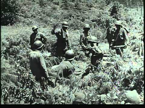 3rd week of Korean War - 44th division and South Korean army on the front part I | Combat Bulletins