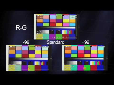 XDCAM EX Color Matrix Setup and How To instructional video