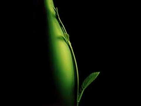 Book Of Love-Peter Gabriel