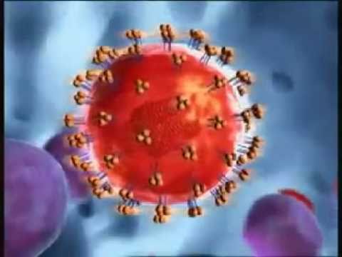 Retrovirus Replication 3D Animation