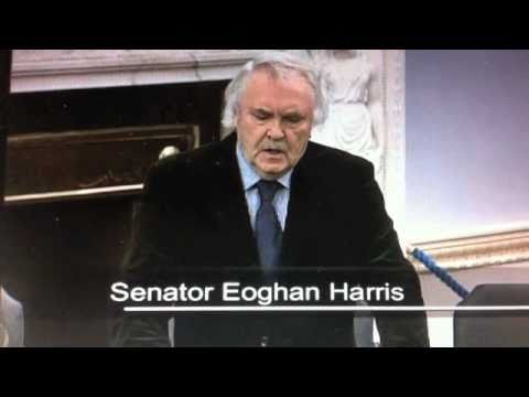 Straitéis 20 Bliain na Gaeilge: An Seanadóir Eoghan Harris