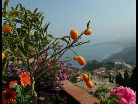 Pino Daniele - Sicily