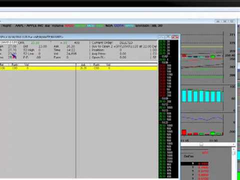 Massive Put Options Bought on the S&P 500 Index Indicating Another Stock Market Crash 2010?