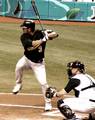 Eric Chavez batting for the Athletics against the Devil Rays, May, 2005