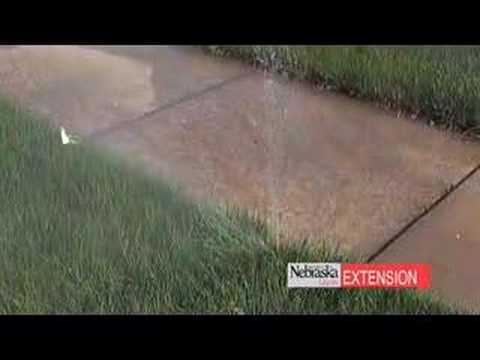 Home Irrigation Checkup