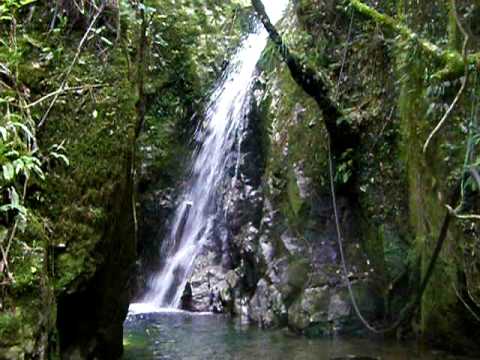 D'urville Island - Another Waterfall