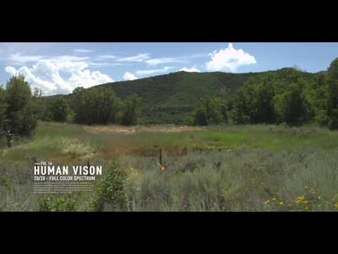 GORE™ OPTIFADE™ Concealment: 180 (Human Vision vs. Ungulate Vision)