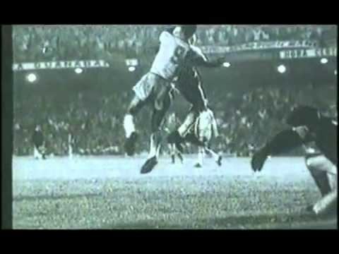 Top 20 goals by pele