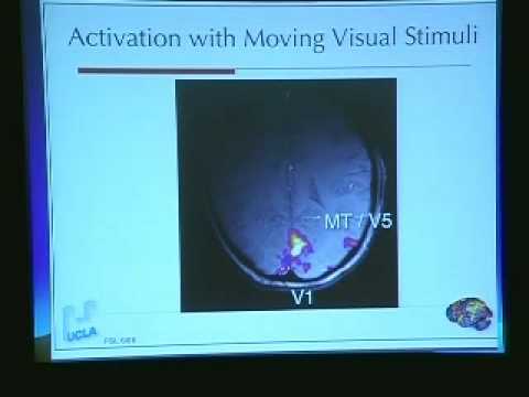 SSE Talks - fMRI & EEG of Distant Healing 1/4