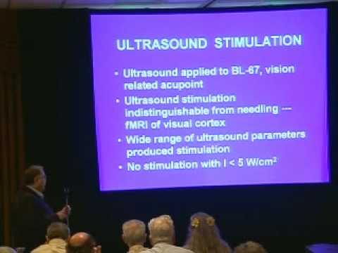 SSE Talks - Imaging Acupuncture Points with fMRI 1/3