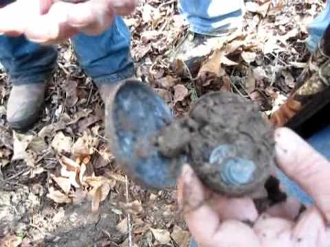 Cache of coins found while metal detecting- LIVE!