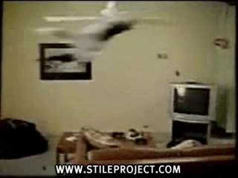 cat jumps on ceiling fan