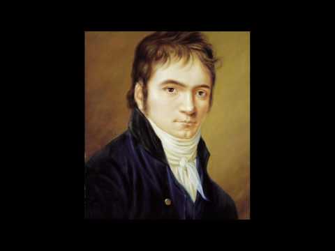 Beethoven - Symphony No. 9 op. 125 - Second Movement (Part 1 of 2) Period Instruments