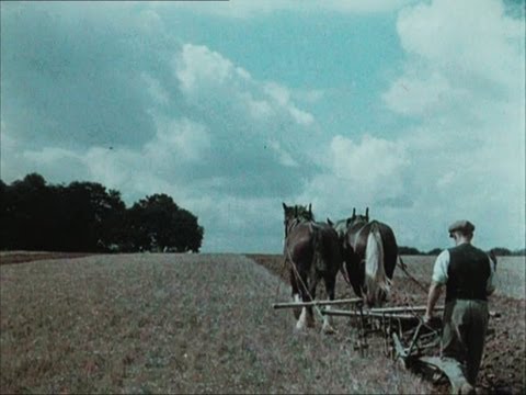 English Harvest (1938)