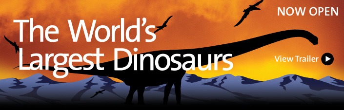 The World's Largest Dinosaurs