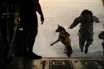 110301-F-RR679-717 A U.S. Army soldier with the 10th Special Forces Group and his military working dog jump off the ramp of a CH-47 Chinook helicopter from the 160th Special Operations Aviation Regiment during water training over the Gulf of Mexico as part of exercise Emerald Warrior 2011 on March 1, 2011. Emerald Warrior is an annual two-week joint/combined tactical exercise sponsored by U.S. Special Operations Command designed to leverage lessons learned from operations Iraqi and Enduring Free