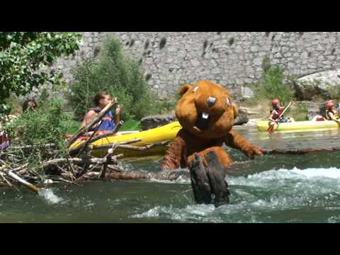 Beaver (Rémi GAILLARD)