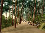 Photochrom of Invalids' walk, 1890s, With the exception of the estate, until 1802 most of the Bournemouth area was common land.