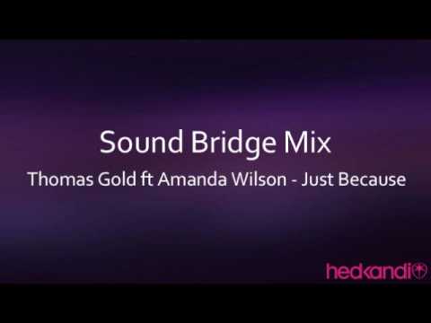 Thomas Gold ft Amanda Wilson - Just Because (Sound Bridge mix)