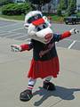 PawSox mascot, Sox, before the game. The Pawtucket Red Sox have two mascots, Paws (male) and Sox (female).