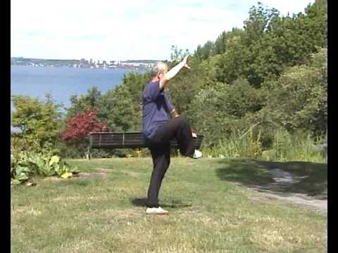 Taijiquan 48 forms 48式太极拳