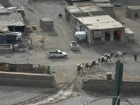 Camel Train in Afghanistan