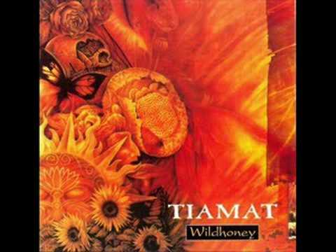 tiamat - the ar