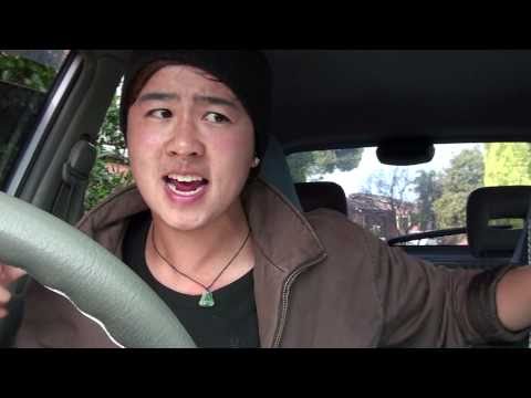 Driving in cars with Asians