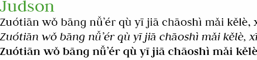 screenshot of the serif font 'Judson' in action on a sample Pinyin text