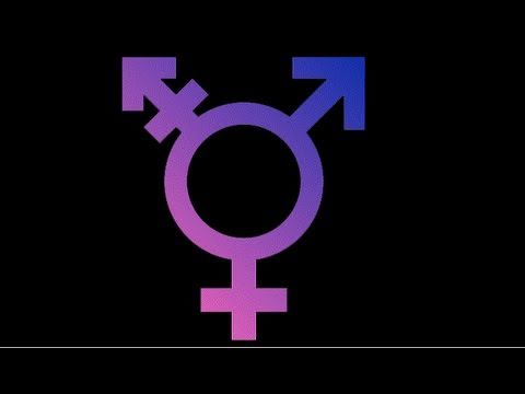 Transgender - Putting the T back in LGBT