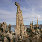 Researchers claimed in late 2010 that they found bacteria in Mono Lake, Calif., that survived on the poison arsenic in the place of an element thought essential to life. The report was immediately greeted with skepticism from the scientific community.