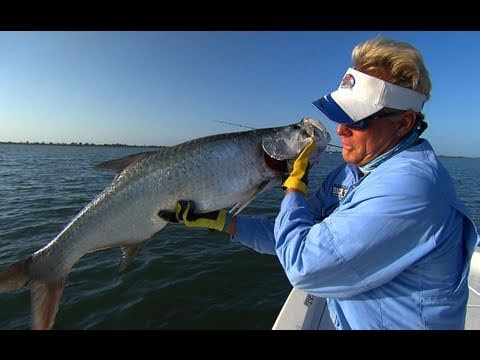 Nuclear Tarpon - FISH JUMPS IN BOAT