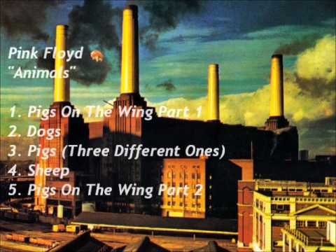 Pink Floyd 