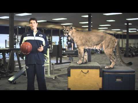 BYU Real Cougar 3 - Fleas and Football Chewing