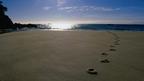 Abel Tasman National Park