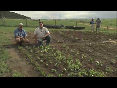 Vegetable Garden Irrigation System