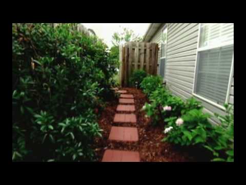 Landscaping and Gardening Ideas for Your Backyard Space