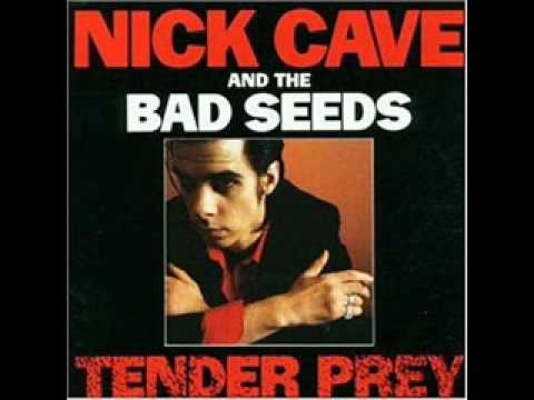 Nick cave and the bad seeds : New morning