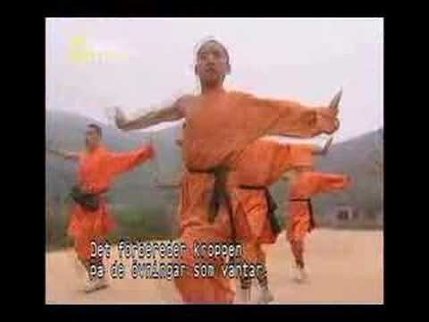 Myths & Logic Of Shaolin Monks Pt 1