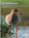 A publication of Birdlife International, a major partner in the WOW Project