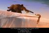 Ice Age (2002) photo