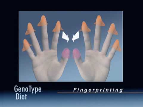 The GenoType Diet: Determining Fingerprint Patterns