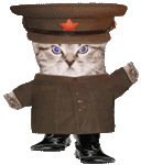 Red army kitten. Fear him.